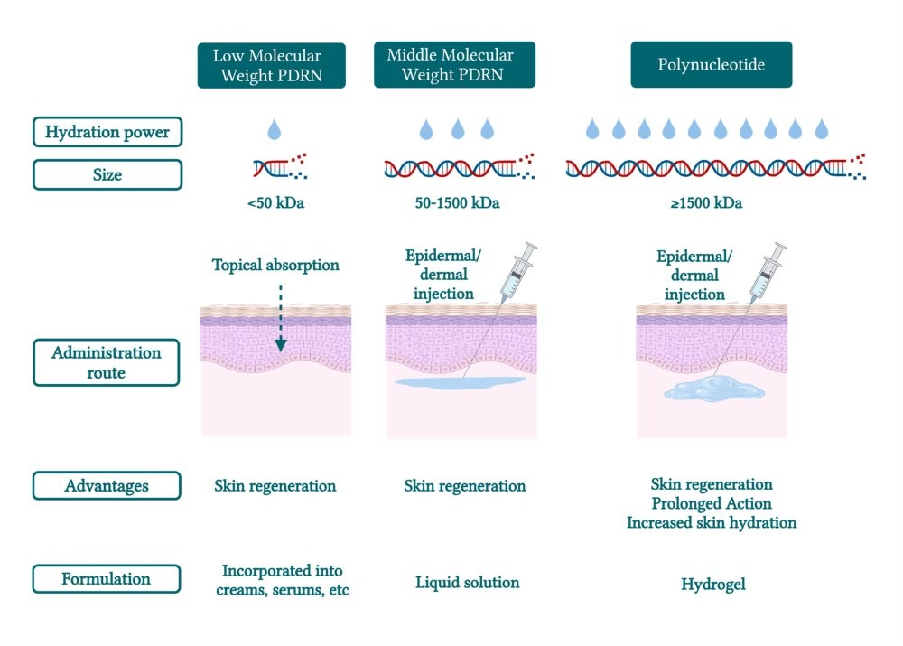 salmon dna injection